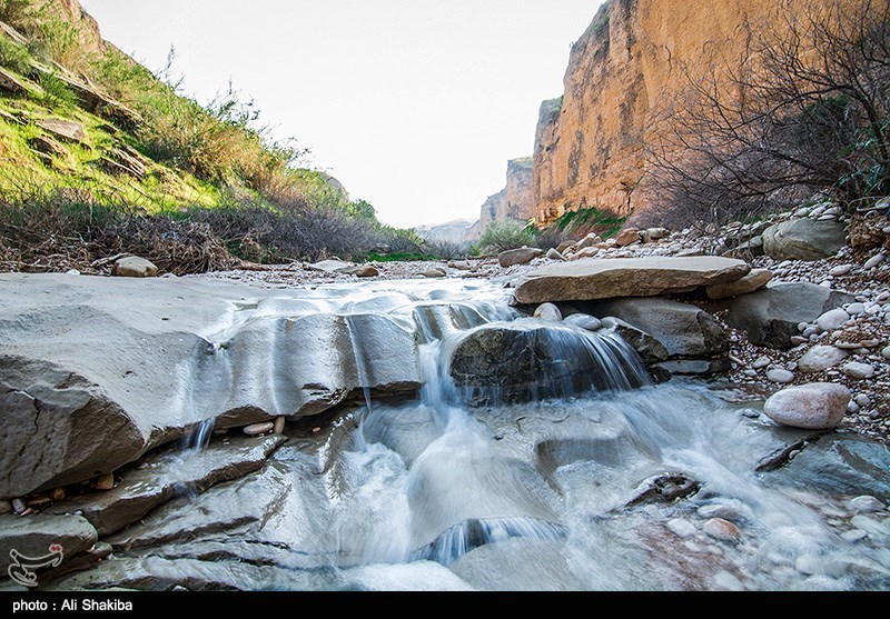 سئو /ImageCache?imageUrl=/wikipedia/commons/0/0c/Kool_Kherson_2017-07-01_13.jpg