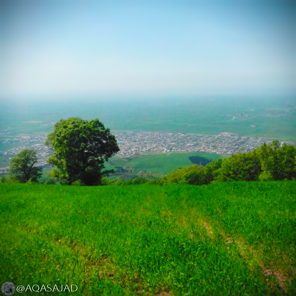 طراحی سایت گالیکش