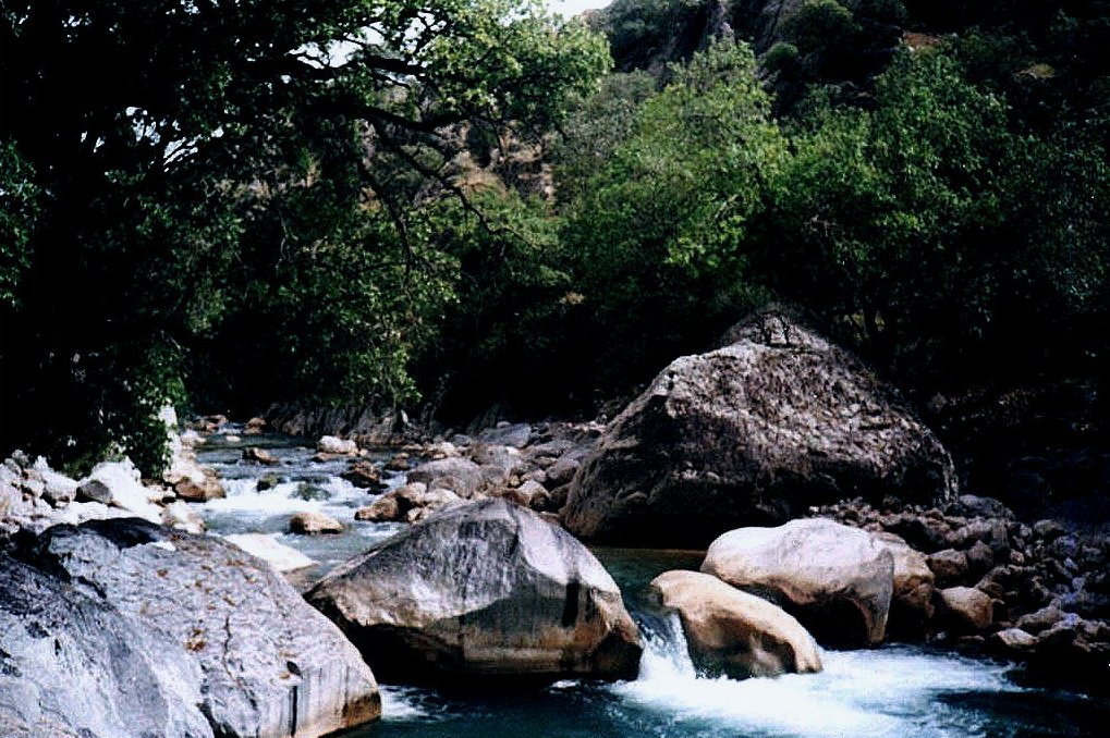 طراحی سایت خومه زار