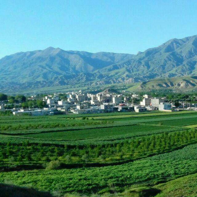 طراحی سایت چورزق