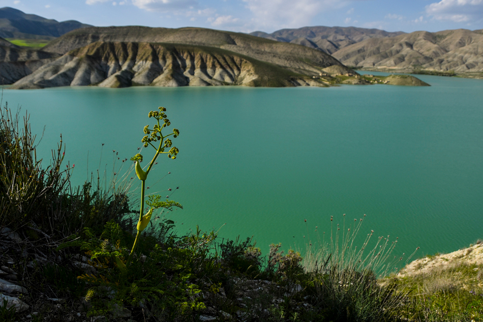 طراحی سایت لوجلی