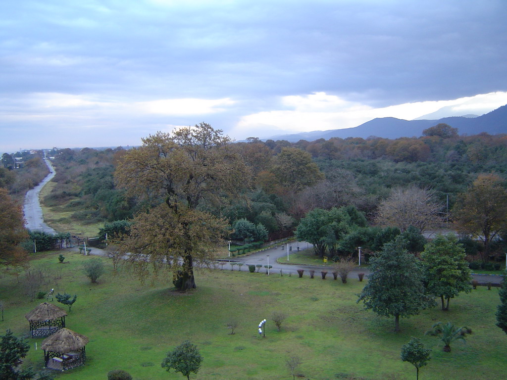 طراحی سایت چالوس