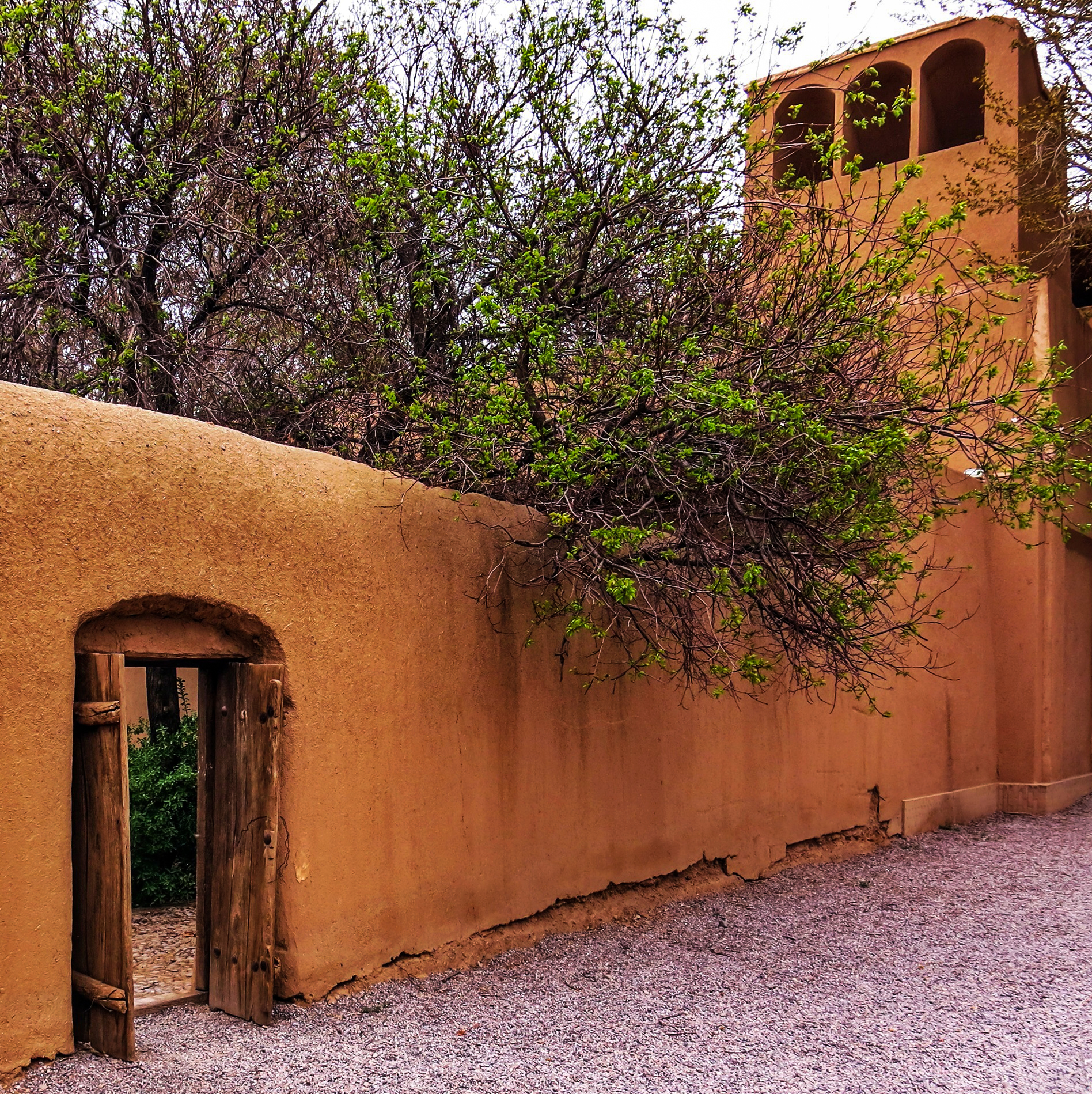 طراحی سایت مهریز