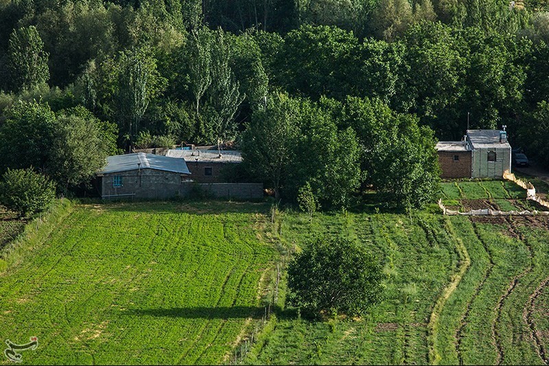 طراحی سایت الشتر