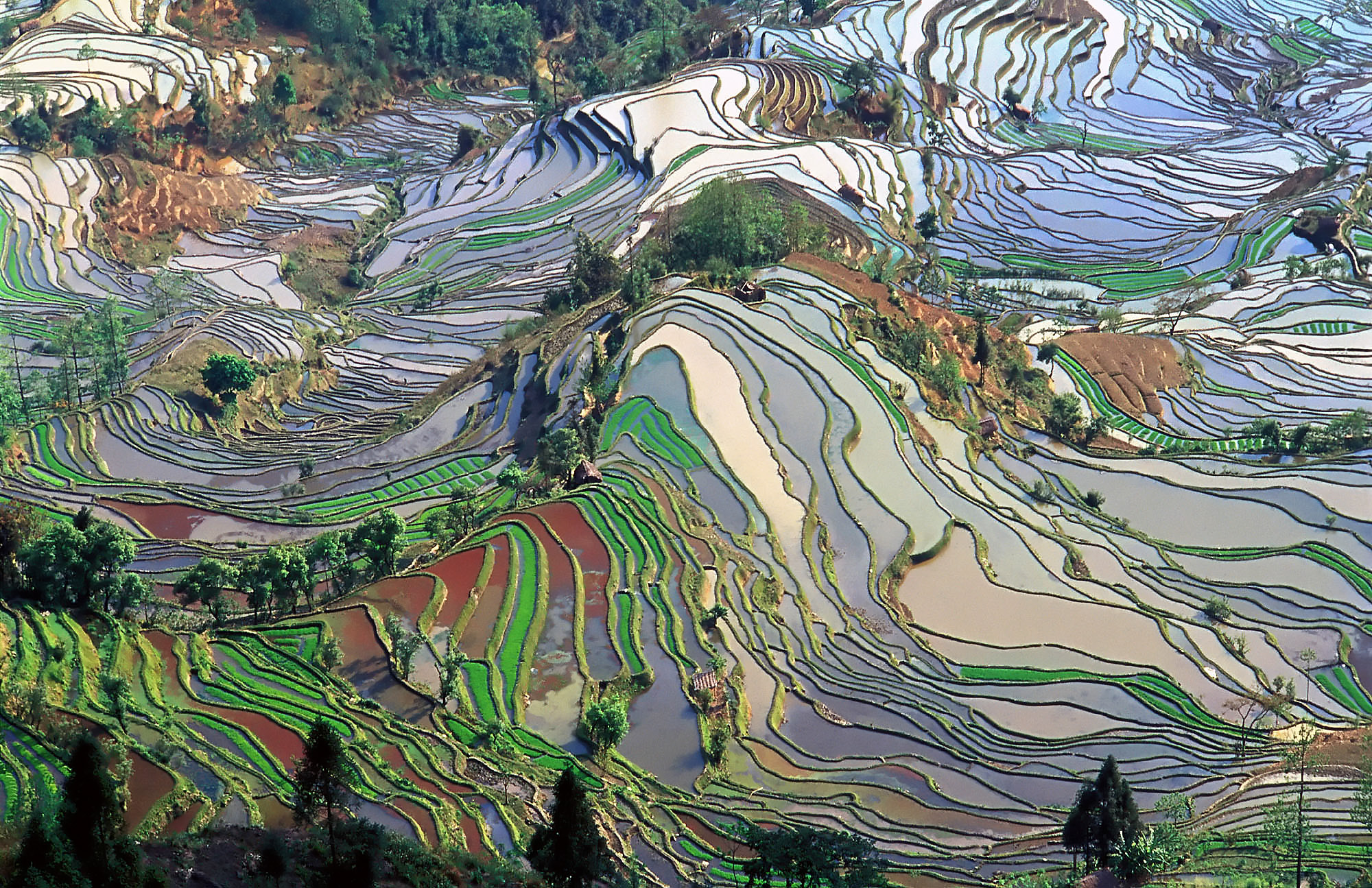 سئو /ImageCache?imageUrl=/wikipedia/commons/7/70/Terrace_field_yunnan_china_denoised.jpg