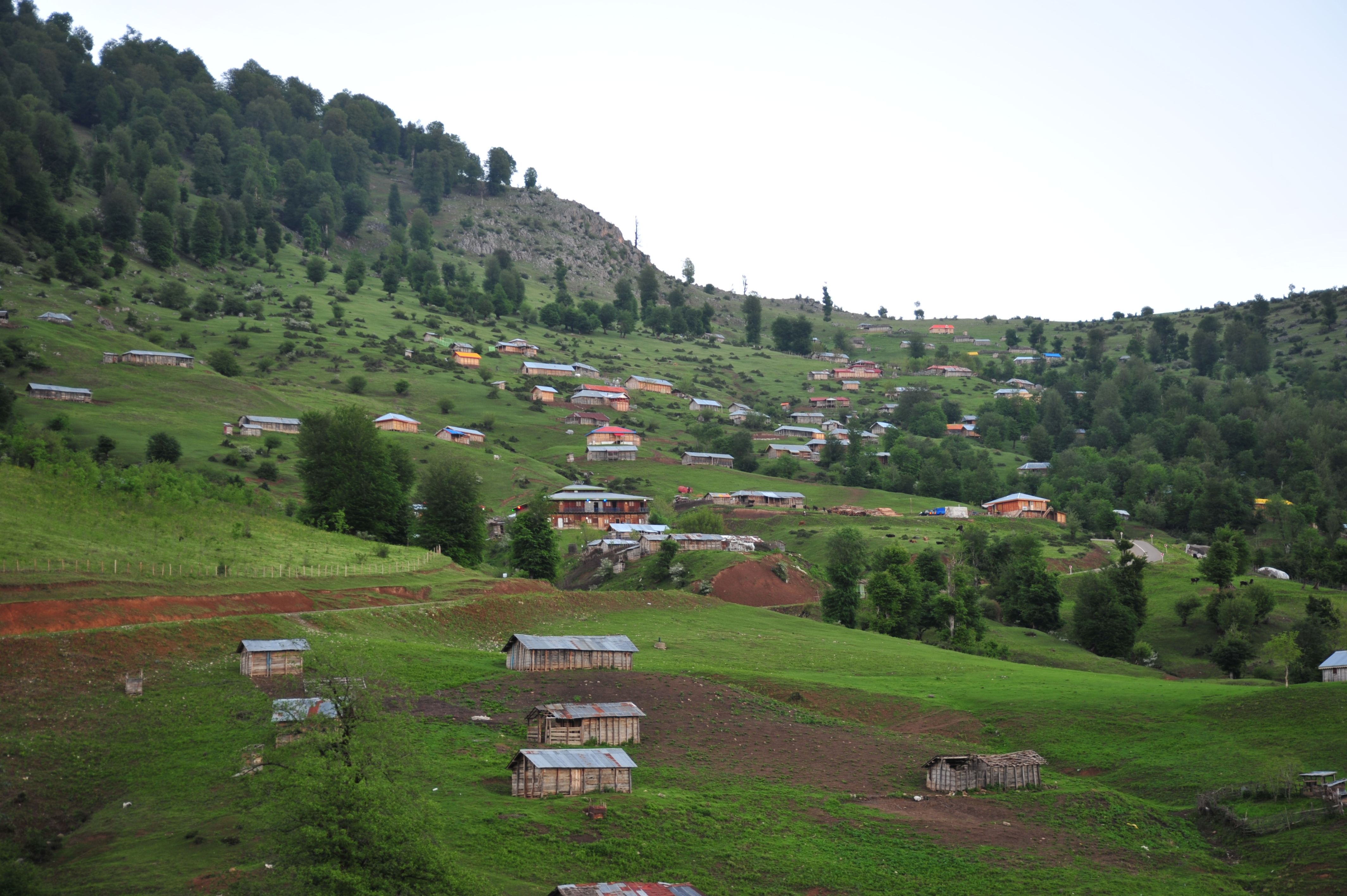 سئو /ImageCache?imageUrl=/wikipedia/commons/7/7d/A_%2822%29_masal.JPG