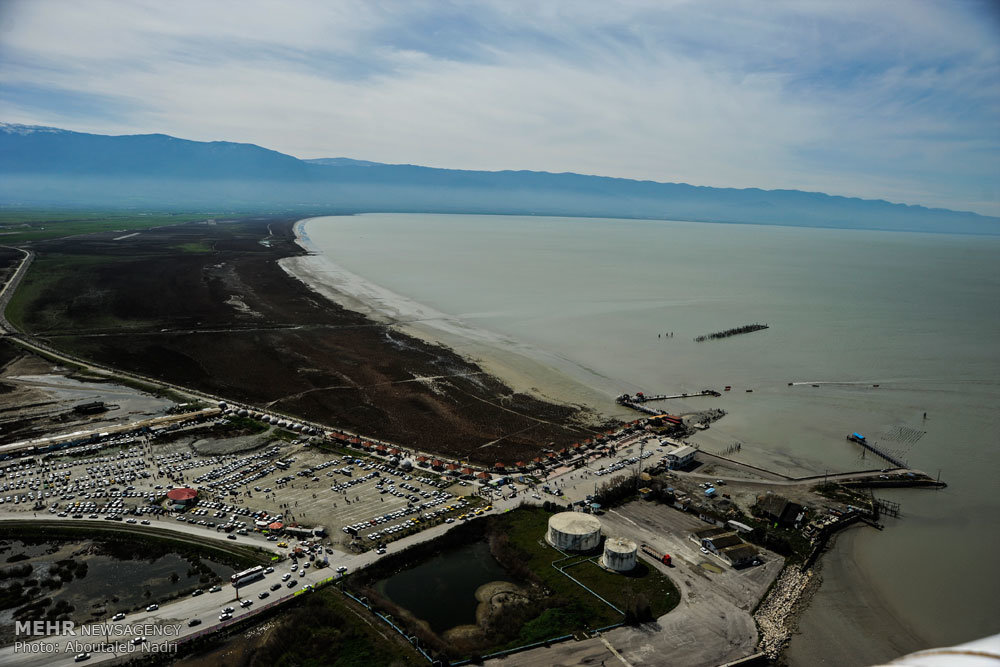 طراحی سایت بندر گز