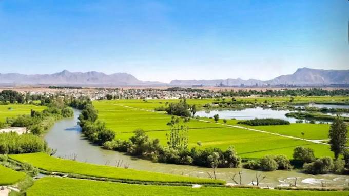 طراحی سایت سده لنجان