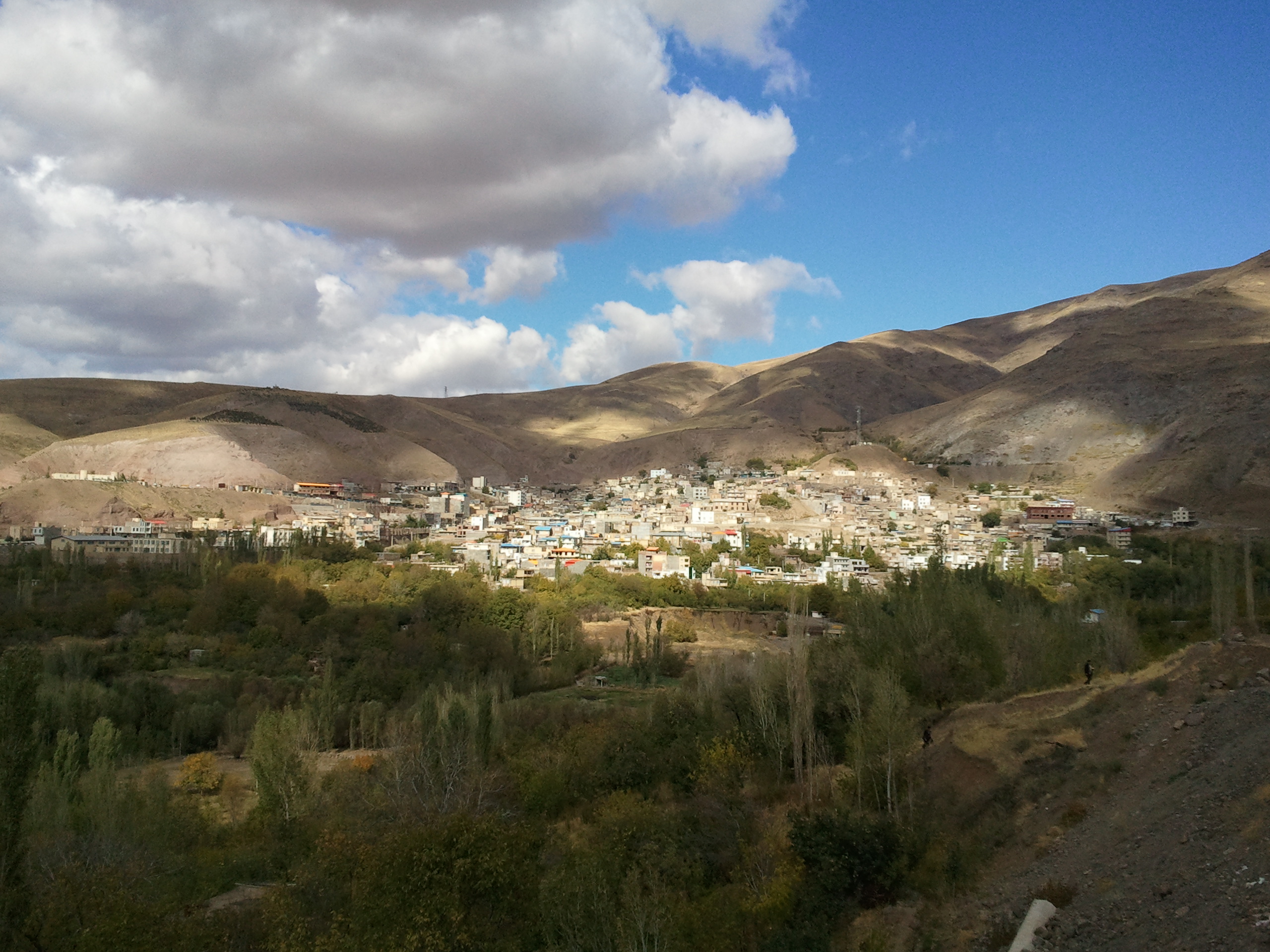 طراحی سایت گیوی