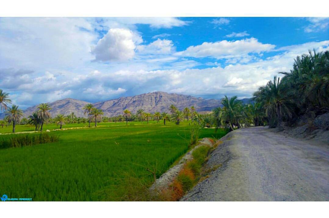 طراحی سایت قصر قند