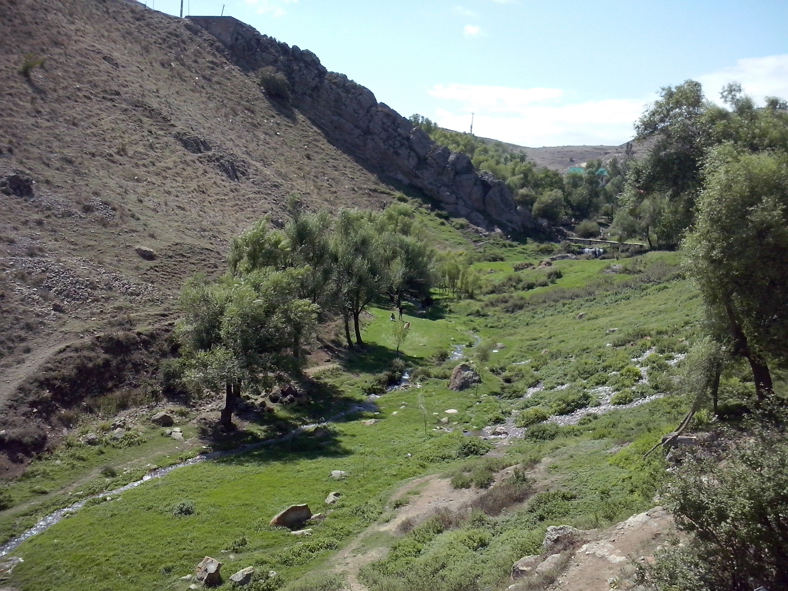 طراحی سایت درق