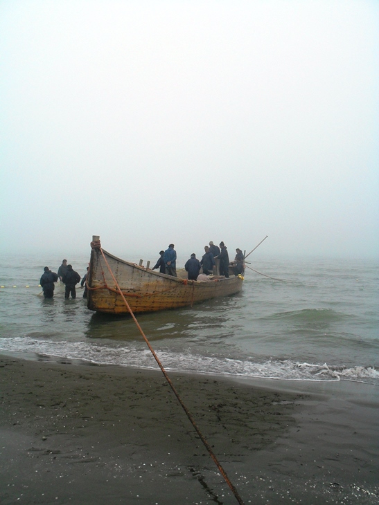 طراحی سایت پره سر