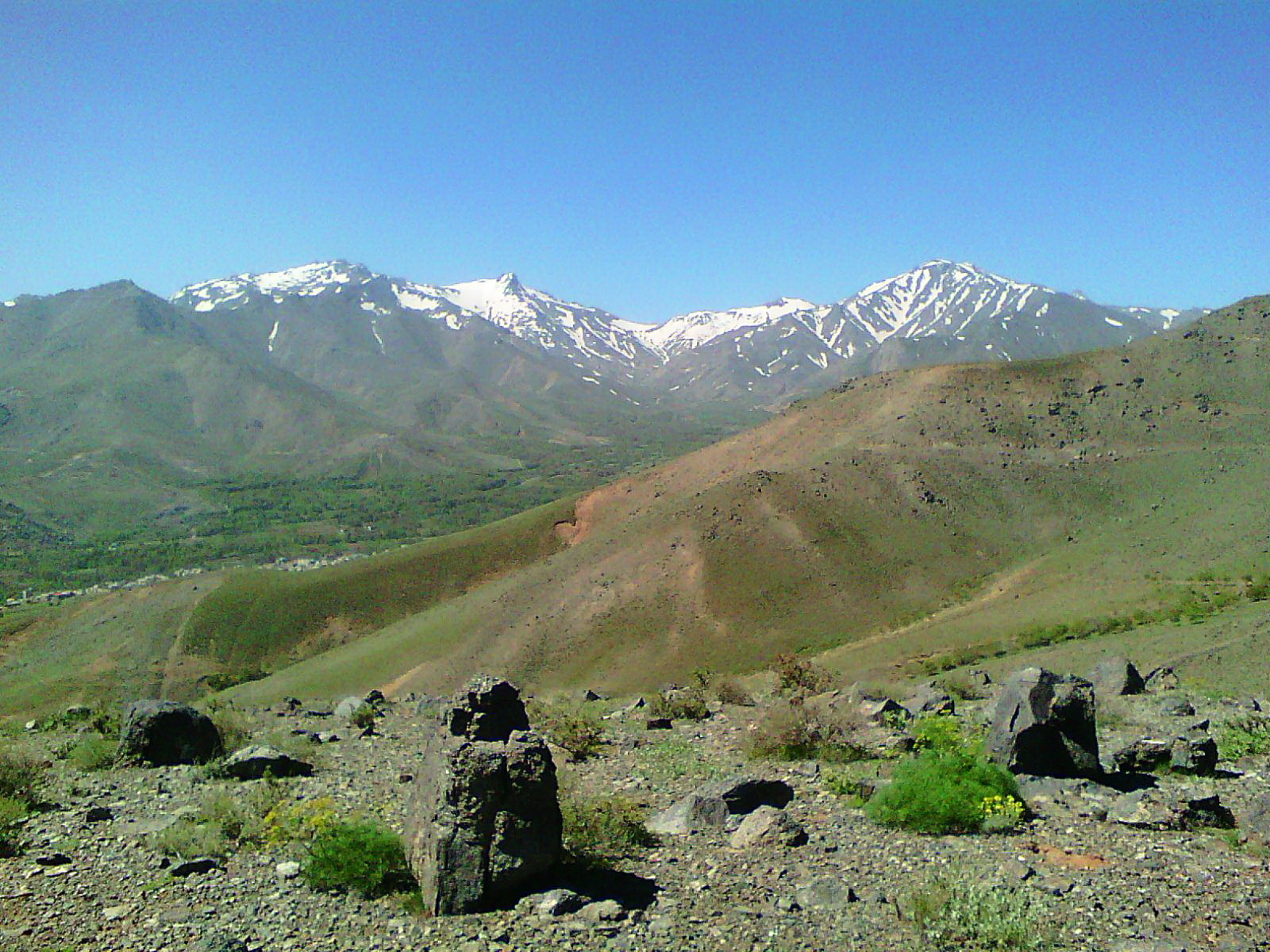 طراحی سایت مریانج