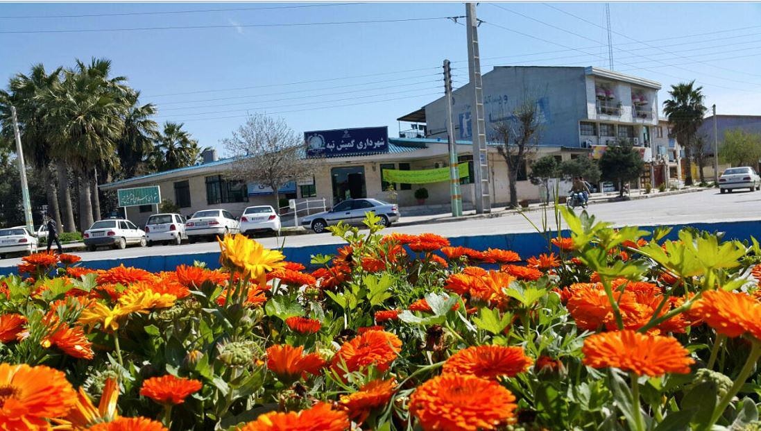 طراحی سایت گمیش تپه