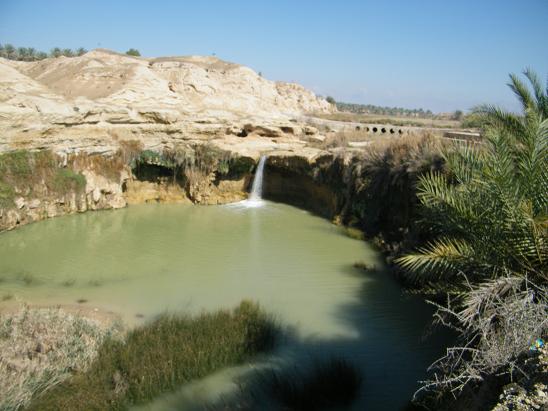 طراحی سایت وحدتیه