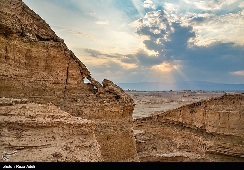 طراحی سایت شهداد