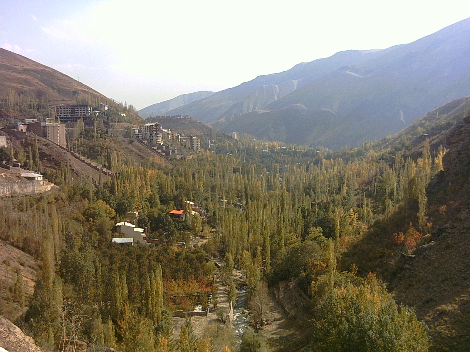 طراحی سایت شمشک