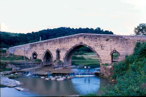 طراحی سایت شیرگاه