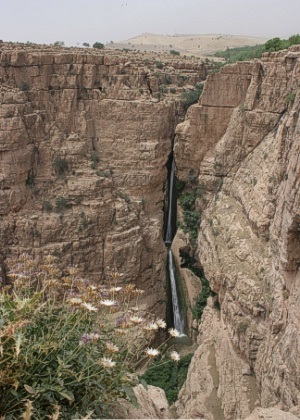 طراحی سایت ریجاب