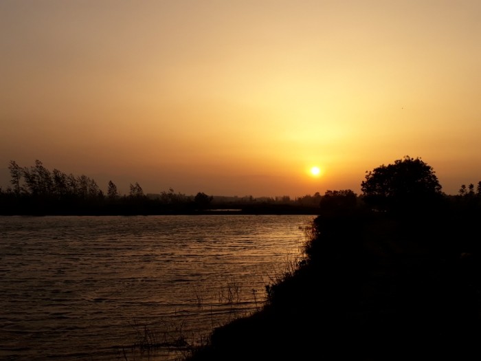 طراحی سایت چمستان