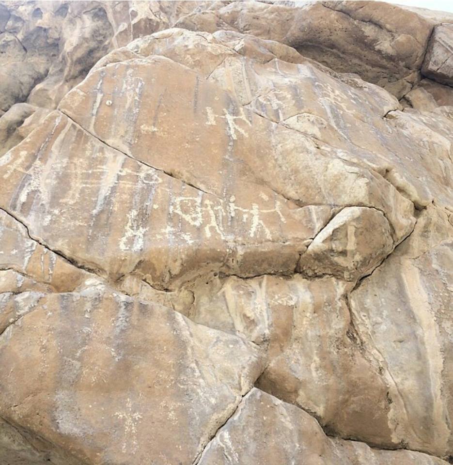 طراحی سایت فنوج