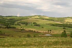 طراحی سایت کوهپایه