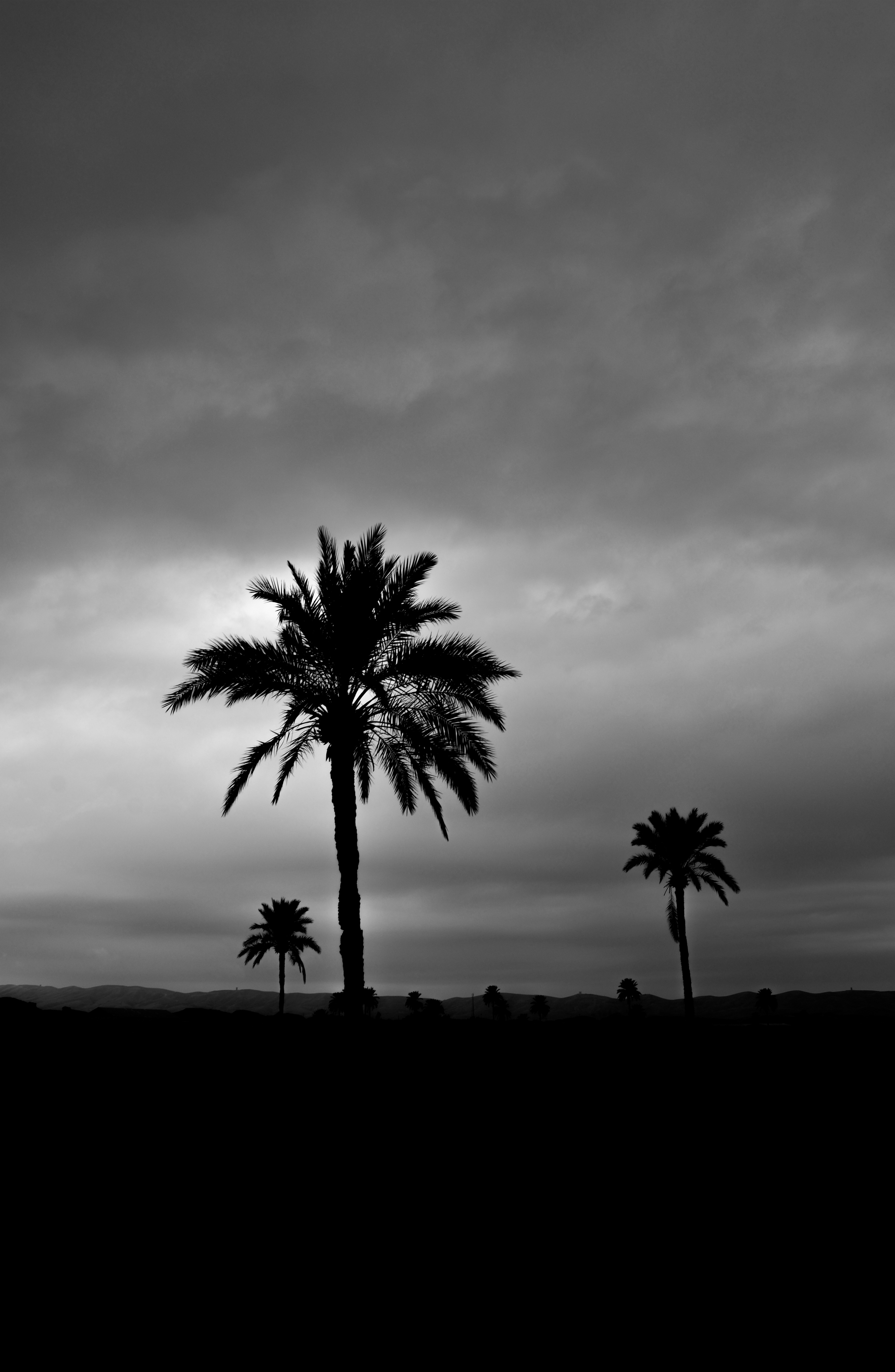 طراحی سایت قصرشیرین