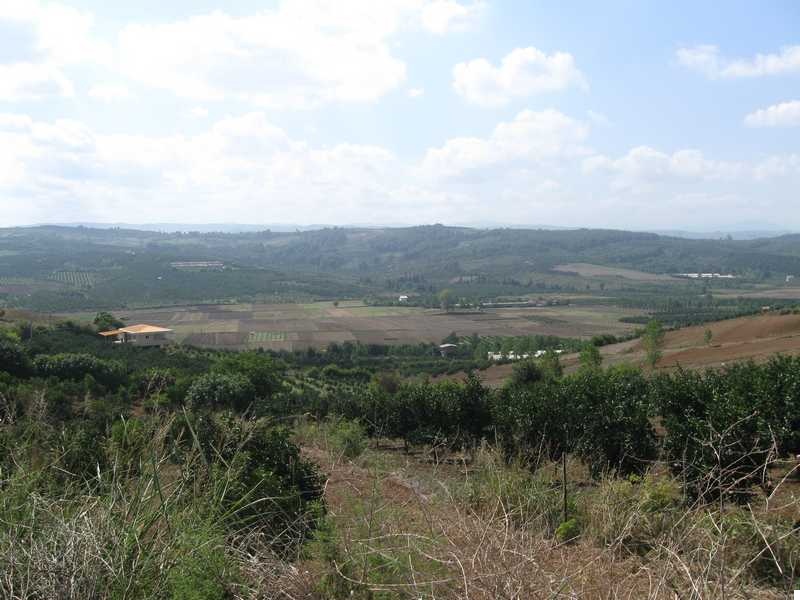 طراحی سایت ارطه