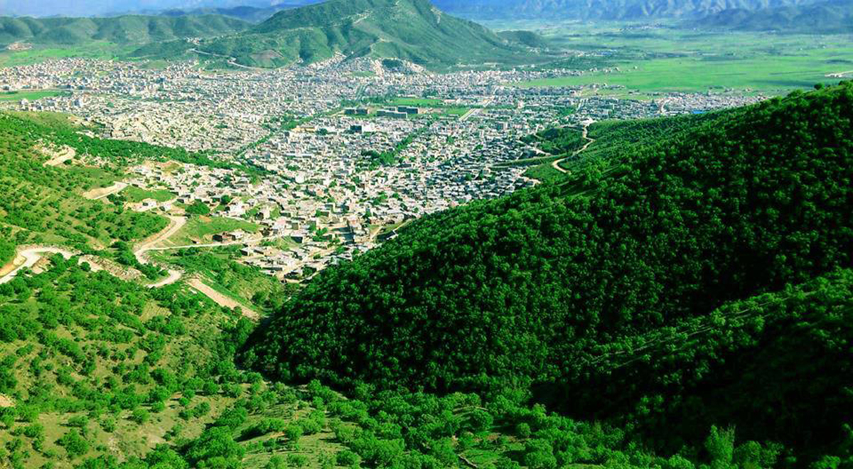 طراحی سایت مریوان