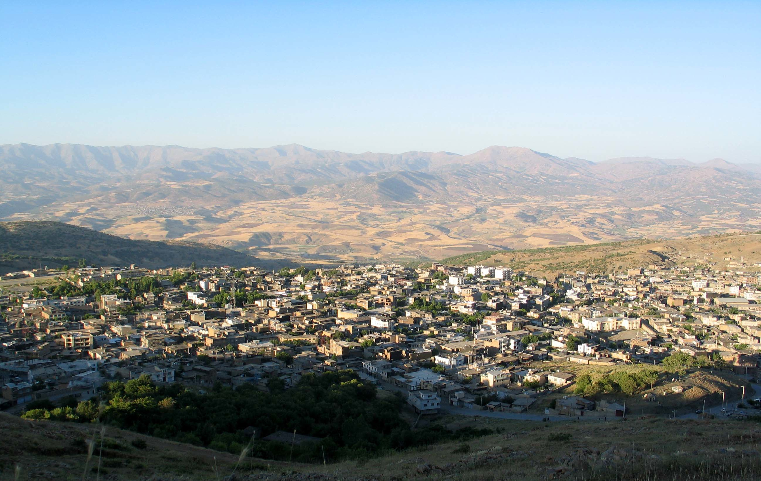 سئو سایت در سردشت