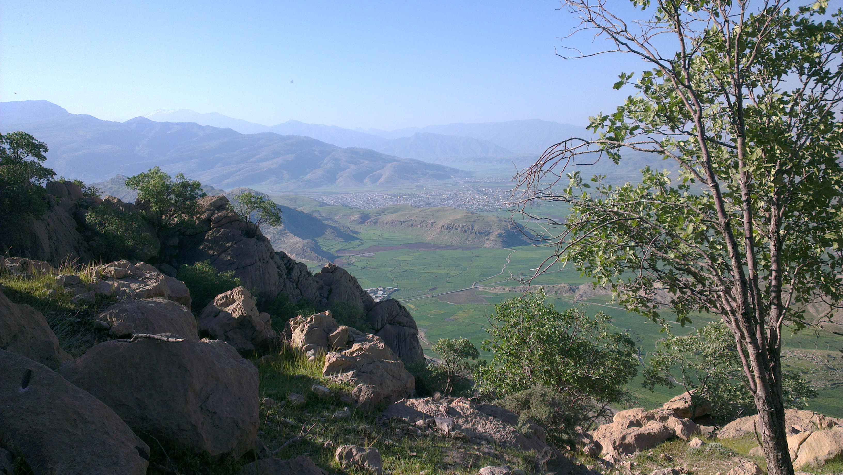 سئو سایت در چرام