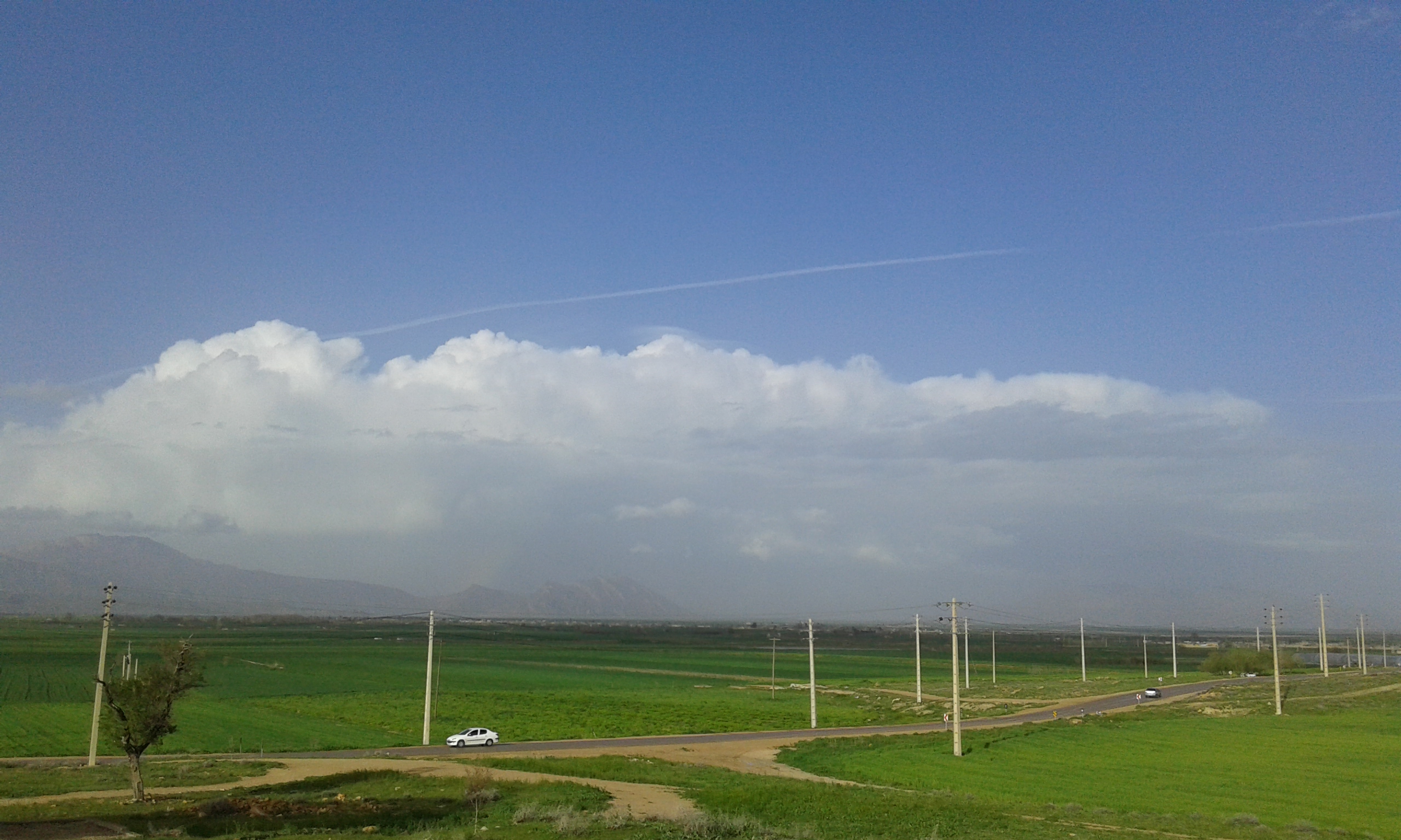 سئو سایت در بیضا