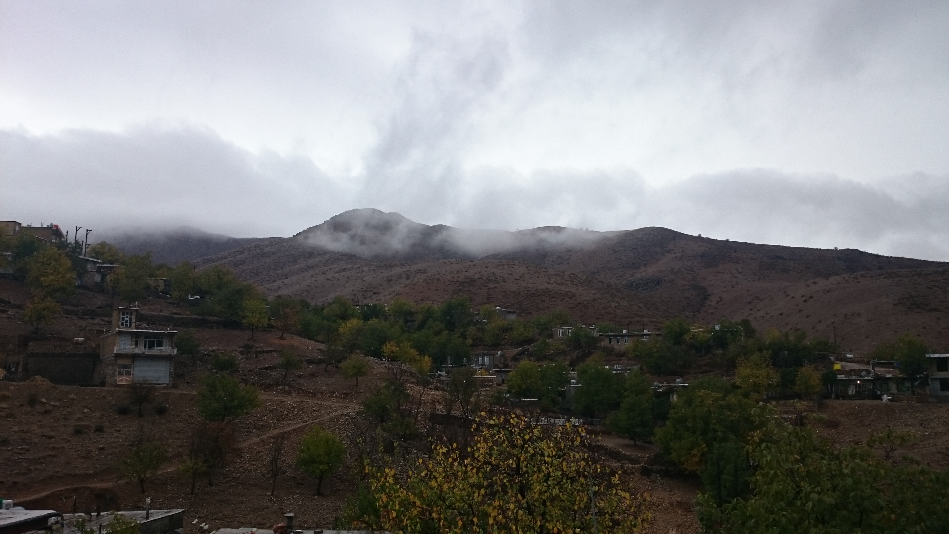 سئو سایت در بانوره