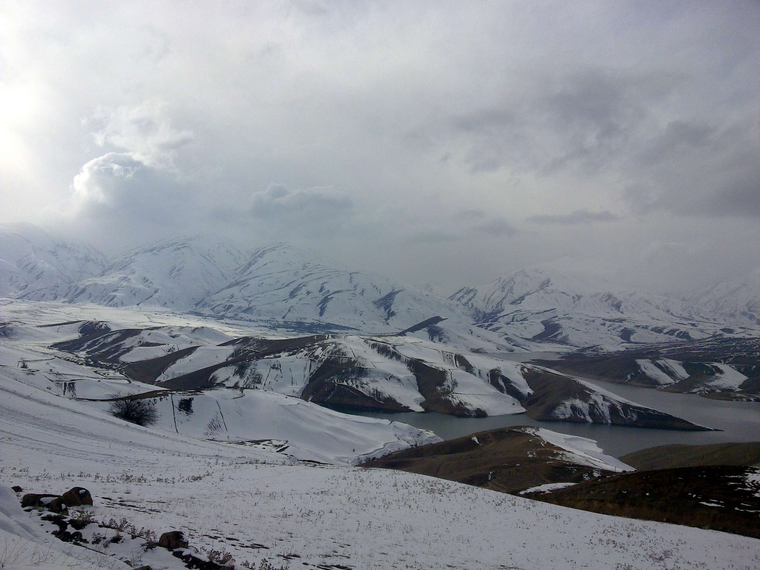 سئو سایت در سیلوانه