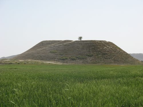 سئو سایت در نوجین