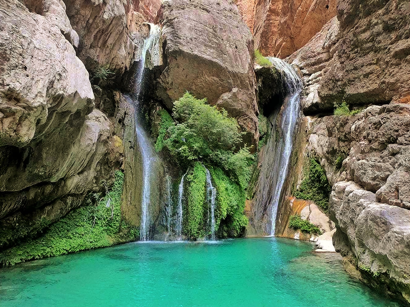 سئو سایت در داراب