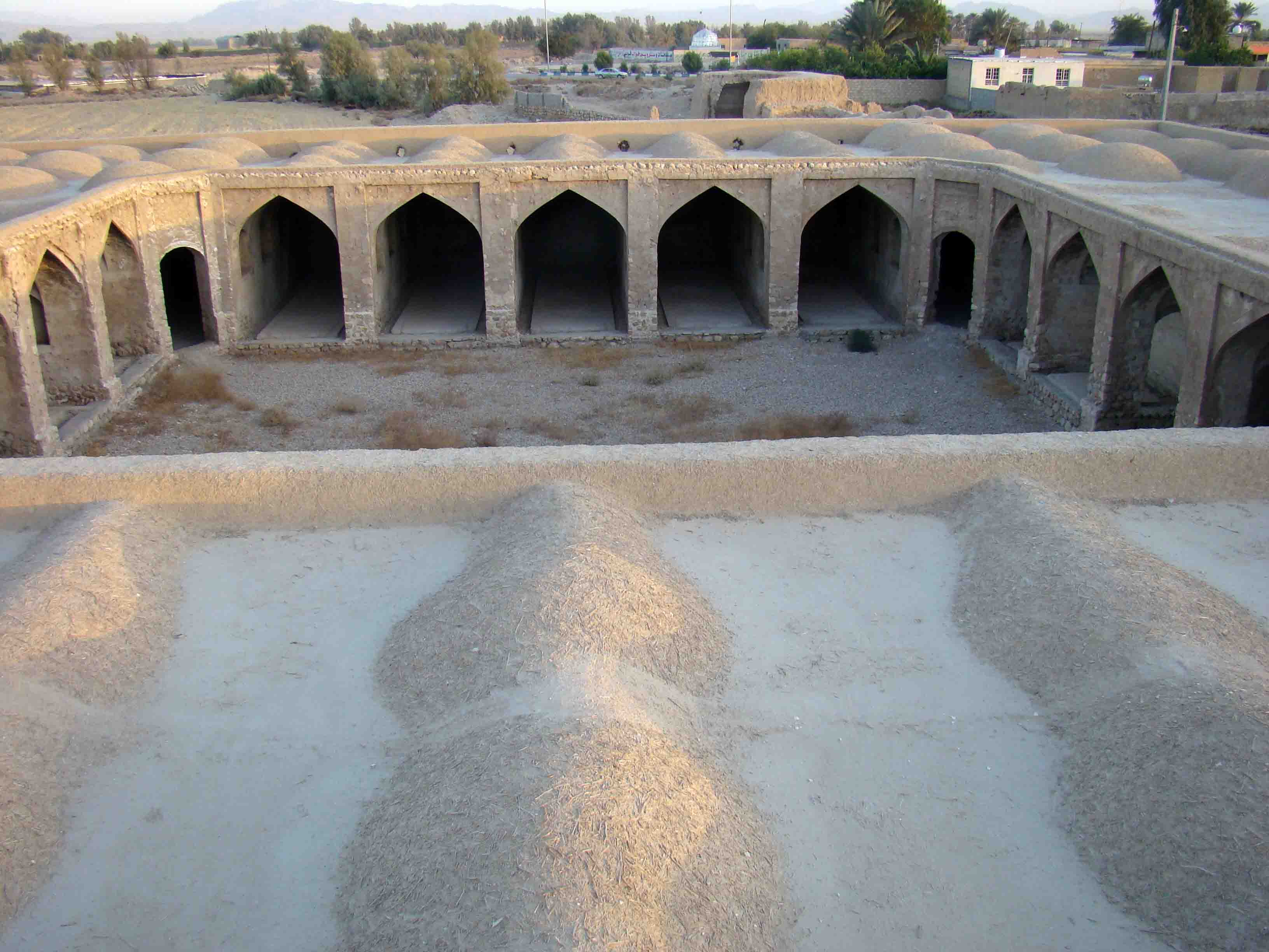 سئو سایت در جویم