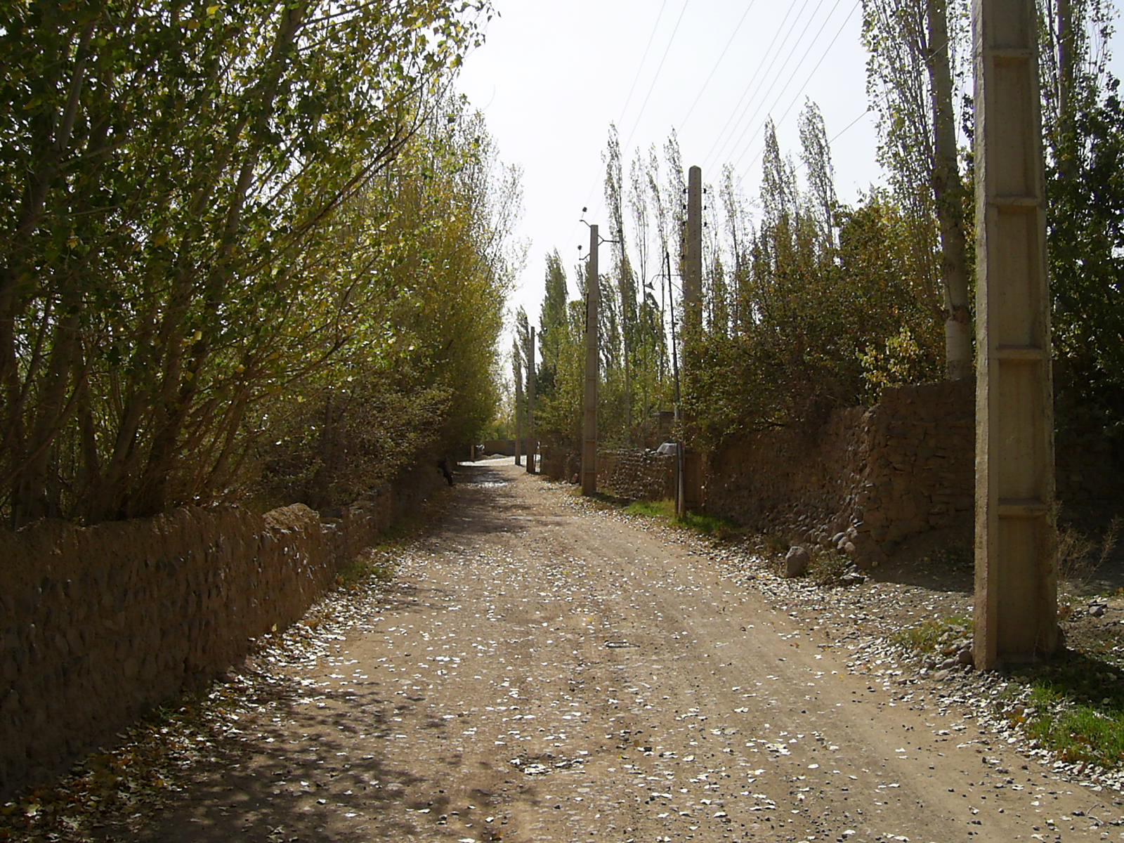 سئو عنبران