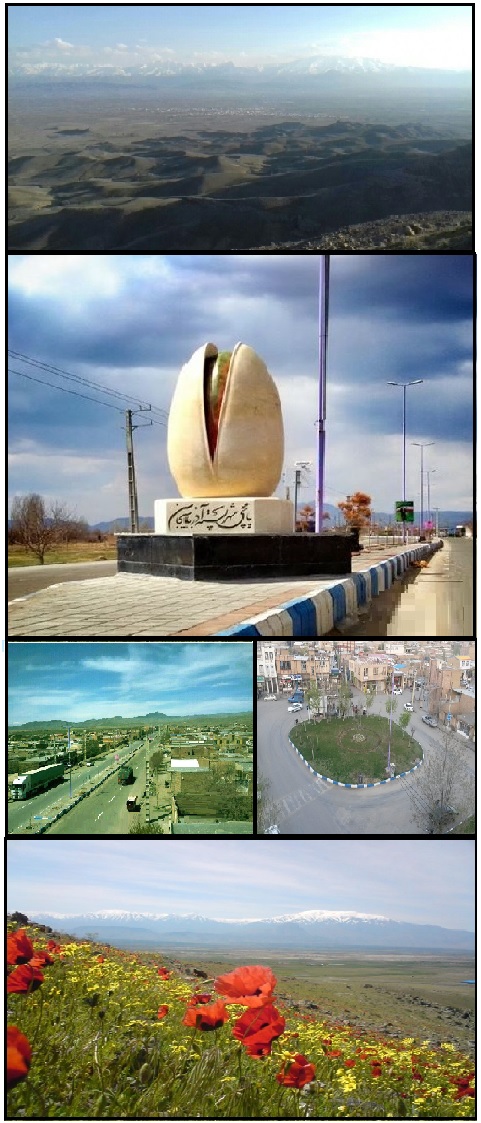 سئو سایت در یامچی