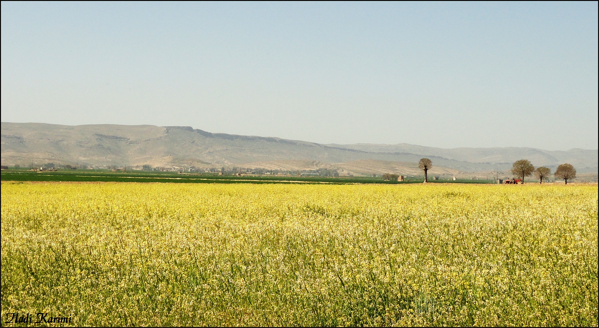 سئو سایت در داریان