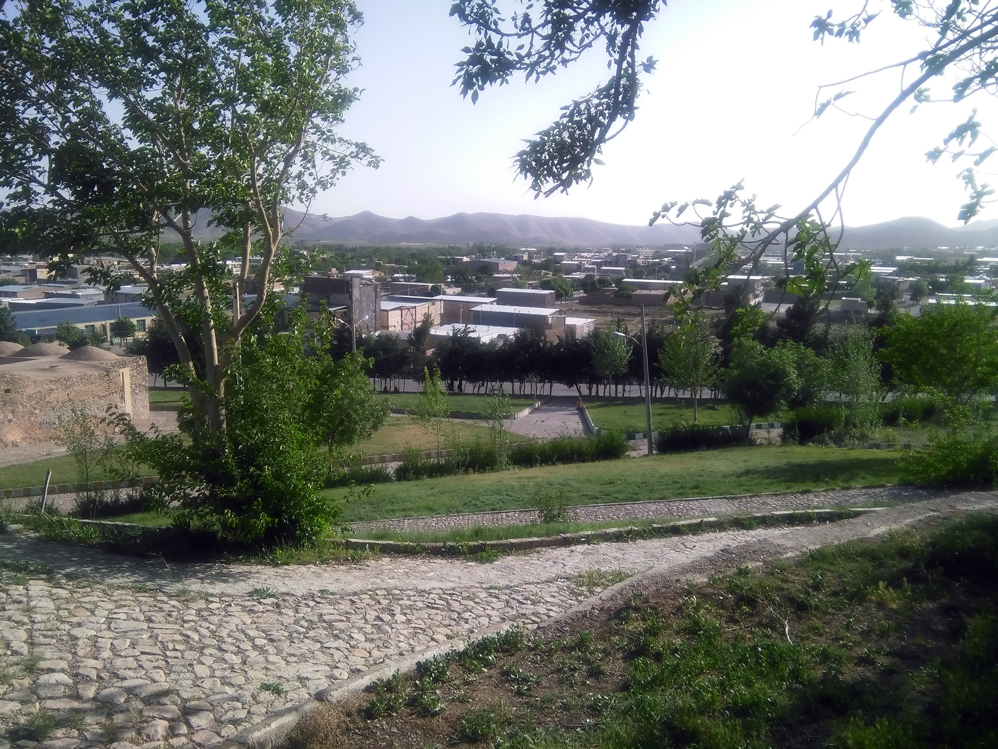 سئو سایت در کوهبنان
