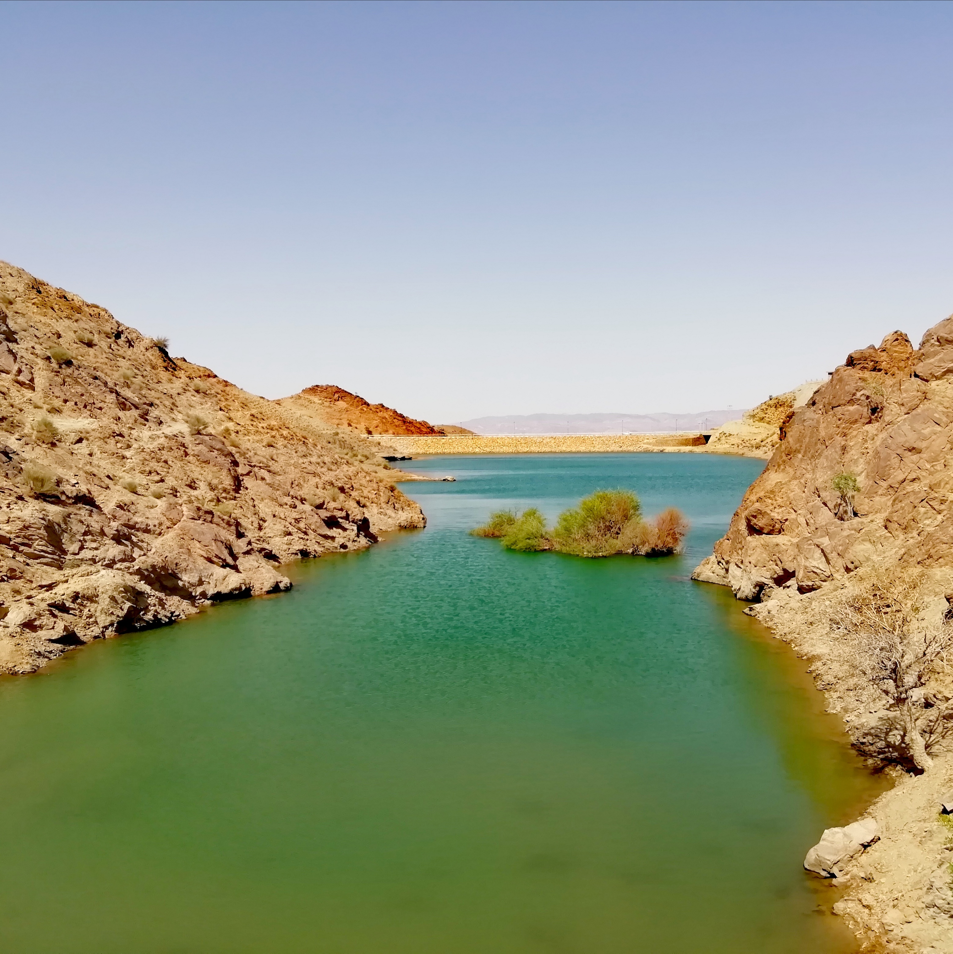 سئو سایت در شوسف