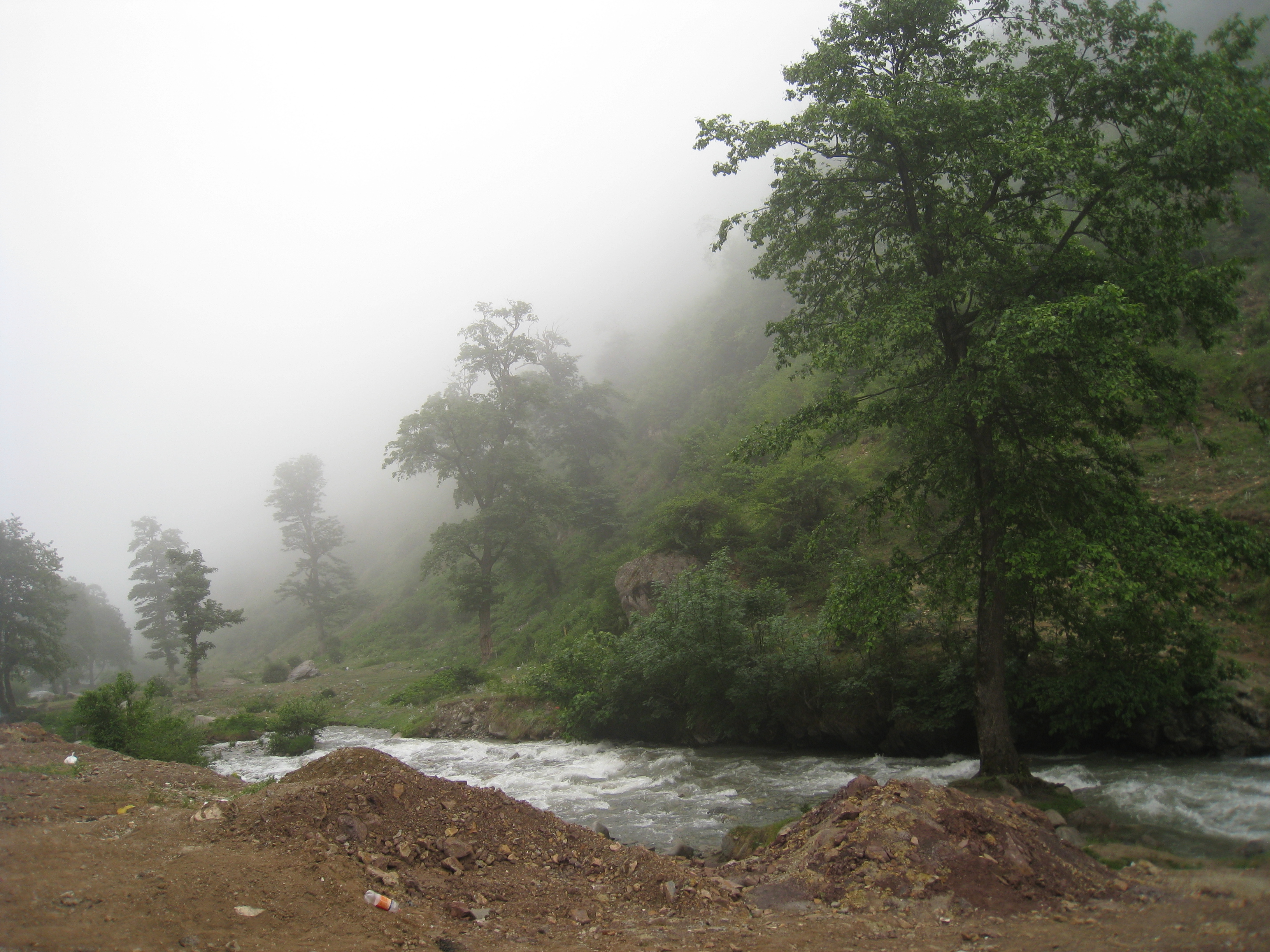 سئو سایت در کلاردشت