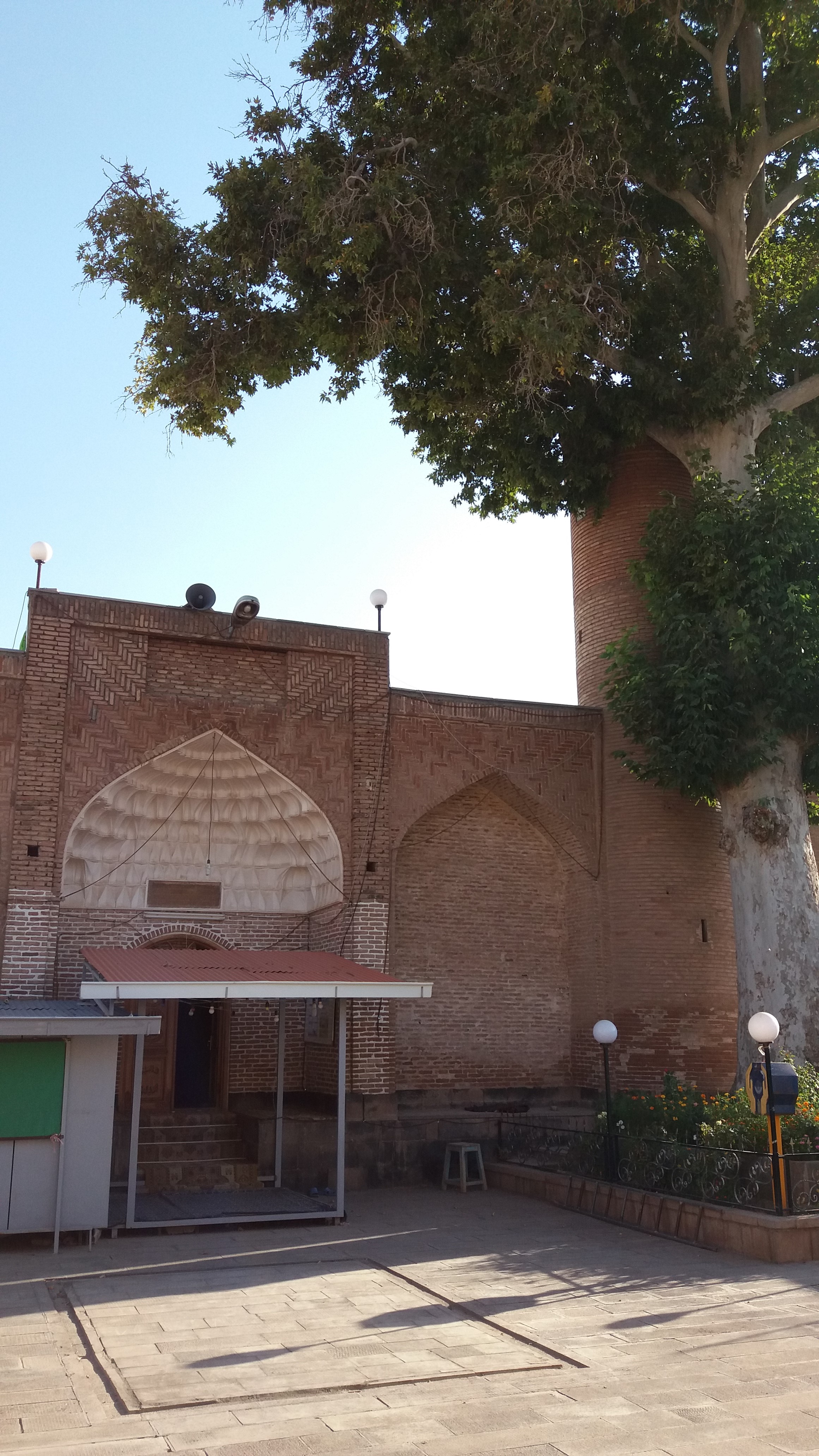 سئو سایت در تسوج