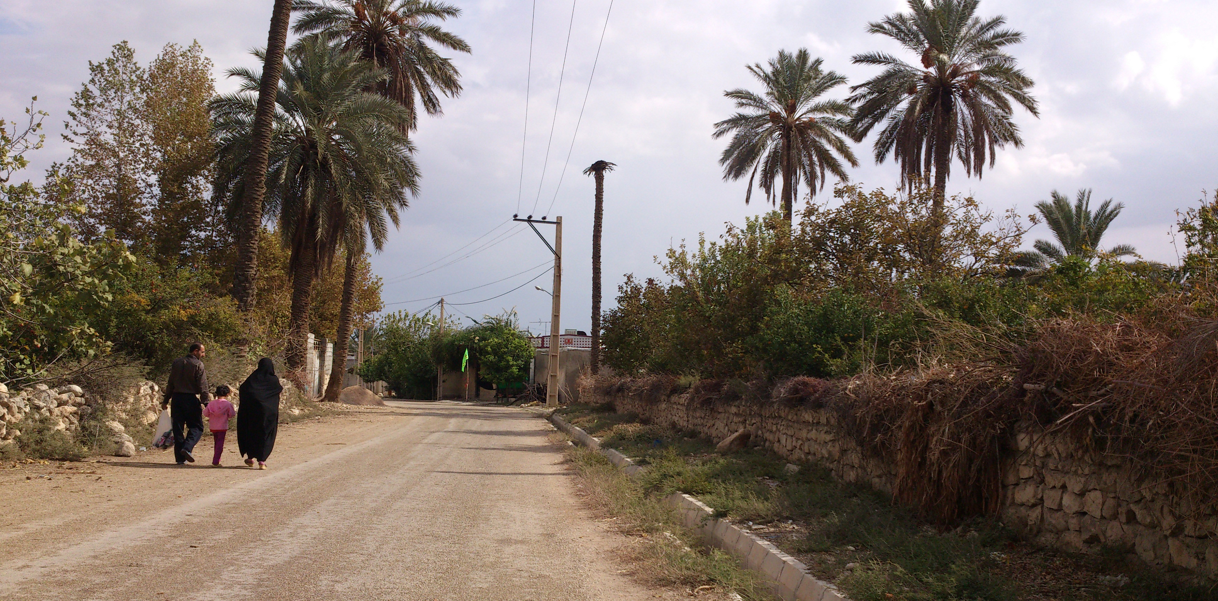 سئو سایت در دوزه