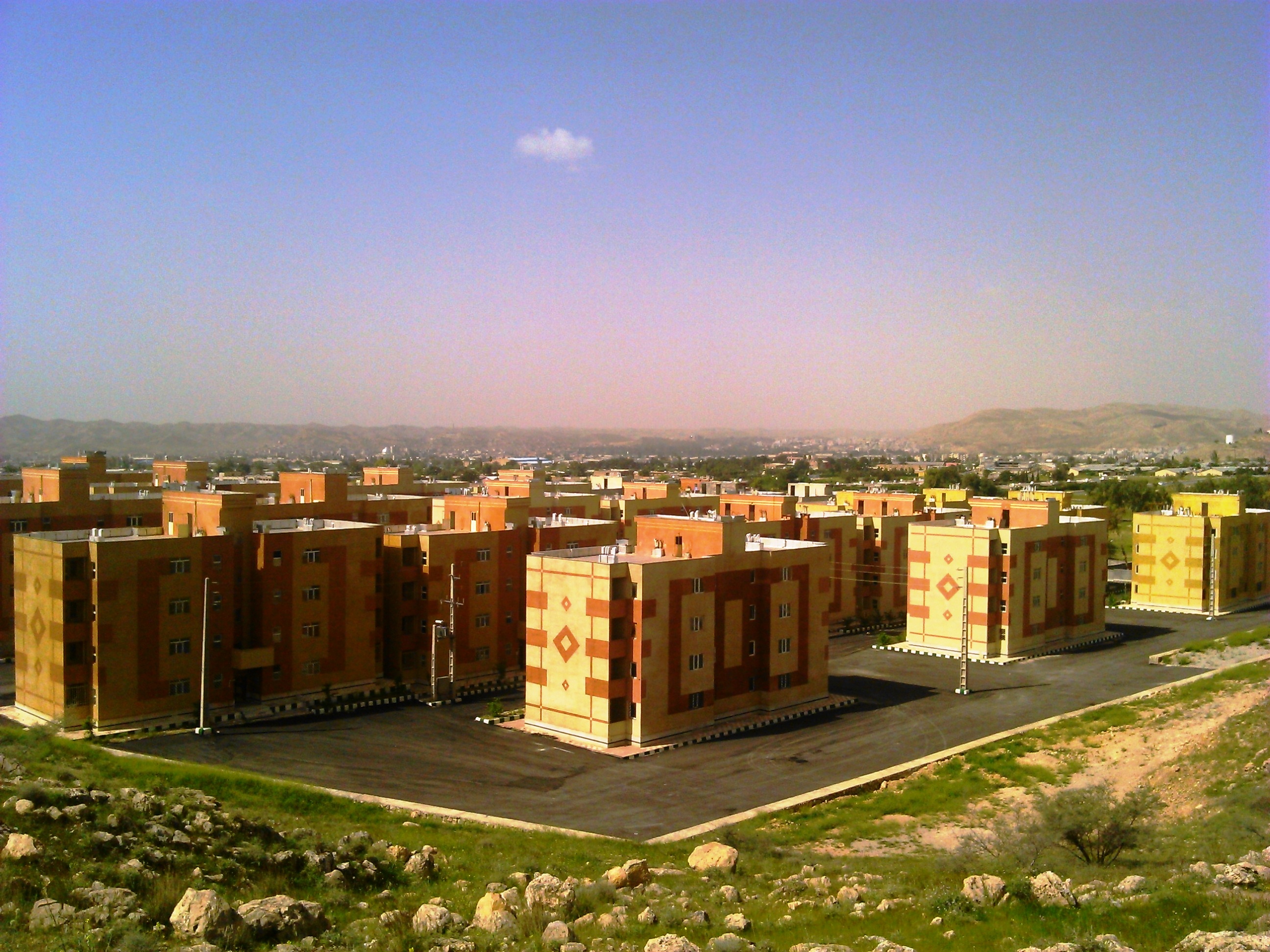 سئو سایت در دوگنبدان