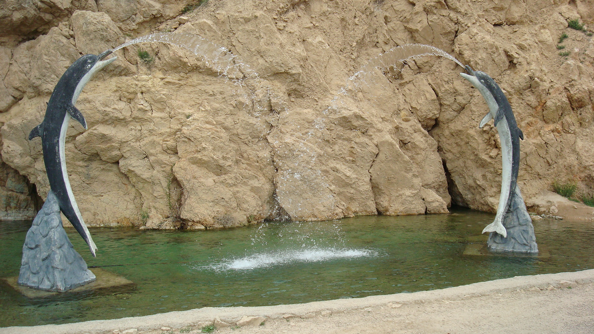 سئو سایت در شوقان