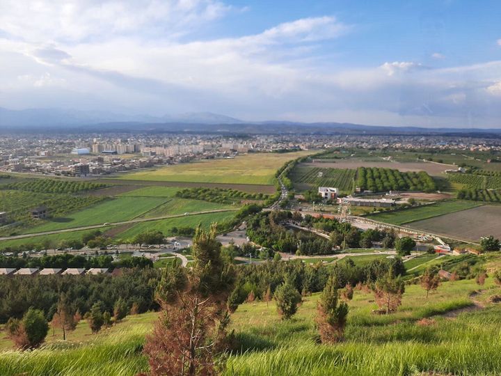 سئو سایت در نقده