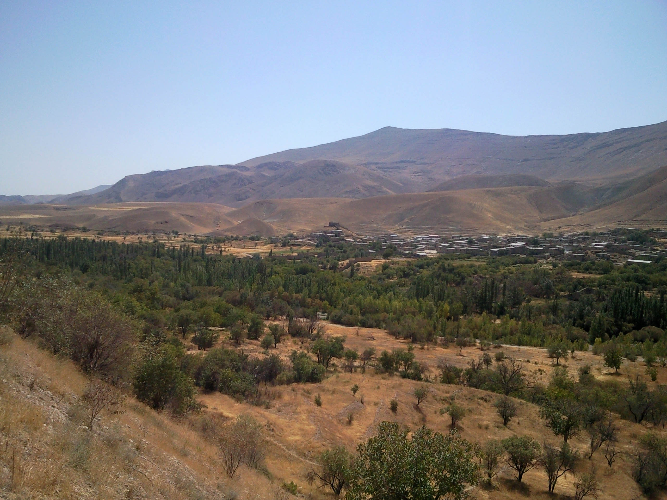 سئو سایت در نوبران