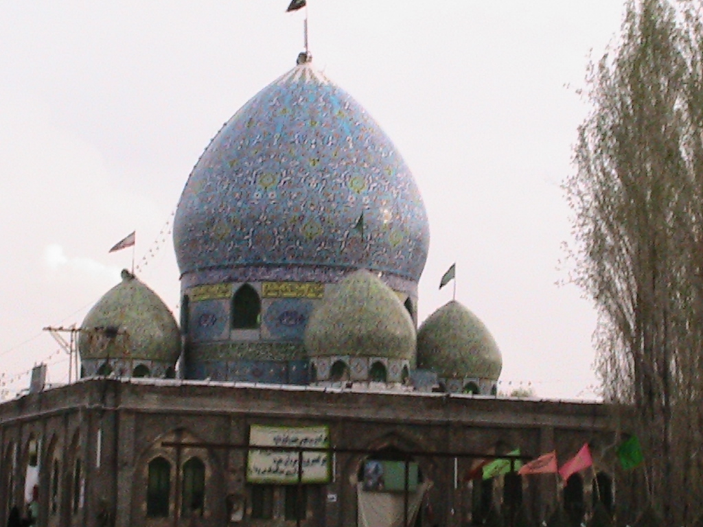 سئو سایت در بزنجان